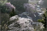福聚寺